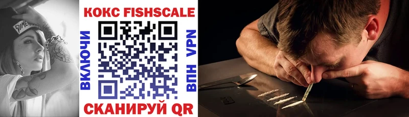 Cocaine FishScale  это как зайти  Вельск 
