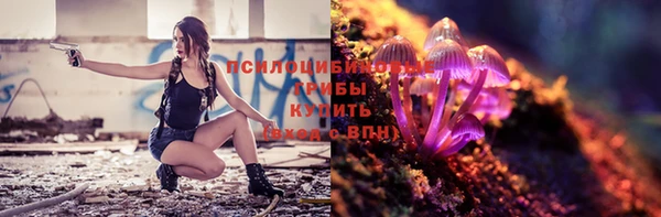 амф Бронницы