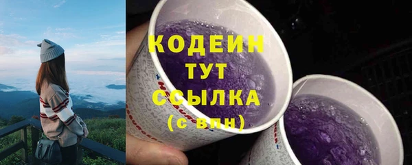 амф Бронницы