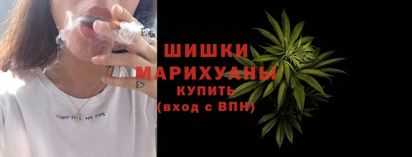 соль ск Бородино