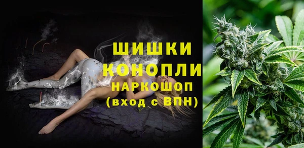 соль ск Бородино