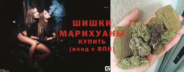 амф Бронницы